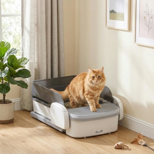 PawHut Self Cleaning Cat Litter Tray, Open-Top Automatic Litter Box with APP
