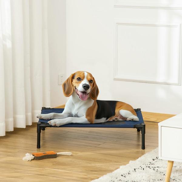 Elevated Dog Bed