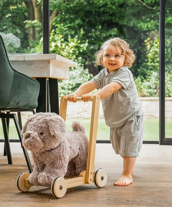 little boy pushing bailey dog push pull baby walker