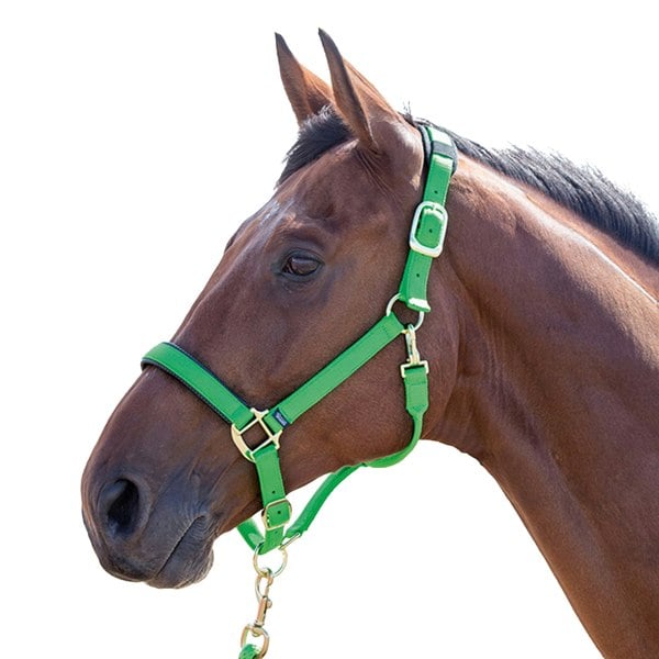 Shires Topaz Nylon Horse Headcollar - Green