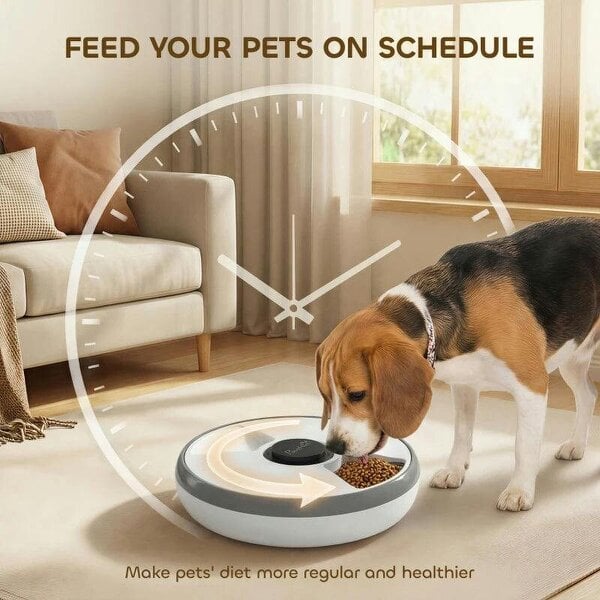 Automatic Cat Feeder Programmable Timer for Dry Wet Food Cat Food Dispenser with Ice Pack for 6 Meals