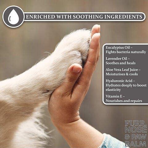 FURR Paw & Nose Balm for Dogs 50ml, Lick-Safe, Natural Healing & Hydration for Dry Noses & Cracked Paws