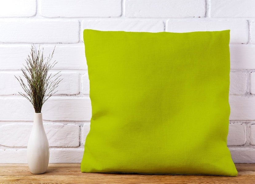 Warren Reed Lime Cushions