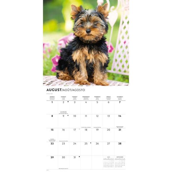 Yorkshire Terriers Calendar 2027, Wall Calendars, Month To View, Dogs, Gift