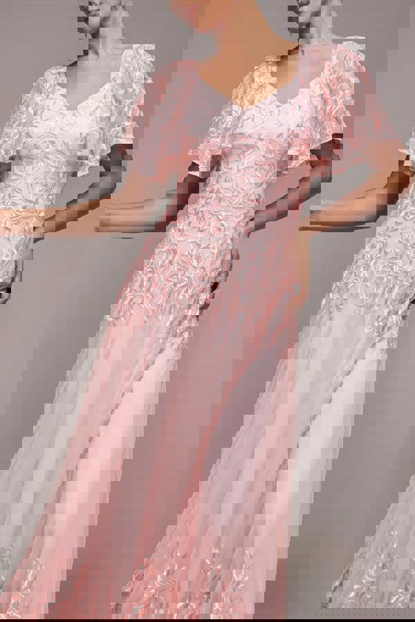 Lace Flutter Sleeve Embroidered Mesh A Line Maxi Dress - Pink DR3942