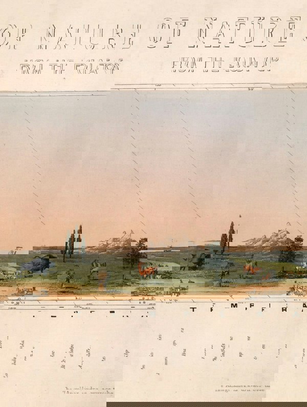 c.1852 View of Nature in all Climates - From the Equator to the Arctic Circle - The Weird & Wonderful