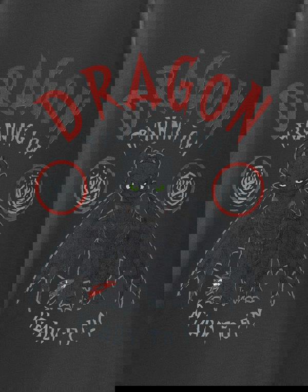 How to Train Your Dragon Boys Grey Training 101 Short Sleeved T-Shirt