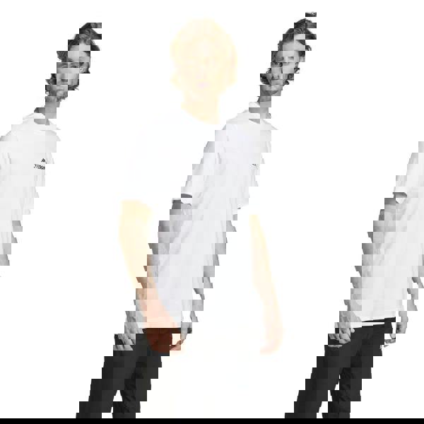 Adidas Mens Terrex Mountain Graphic T-Shirt - White - 