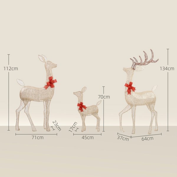 Lighted Christmas Decoration