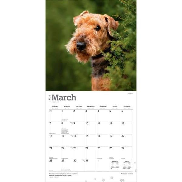 Airedale Terriers Calendar 2027, Wall Calendars, Month To View, Dogs, Gift