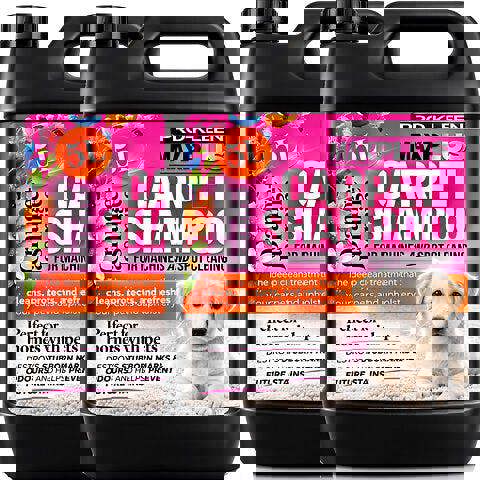 ProKleen Pro-Kleen MAXPLUS Carpet Shampoo Orange And Jasmine 10L