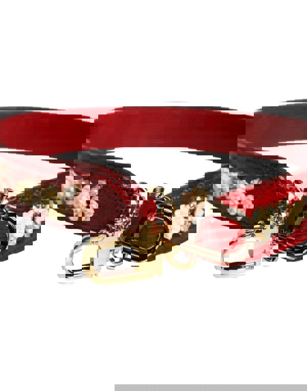 WMB498_2_P.jpg