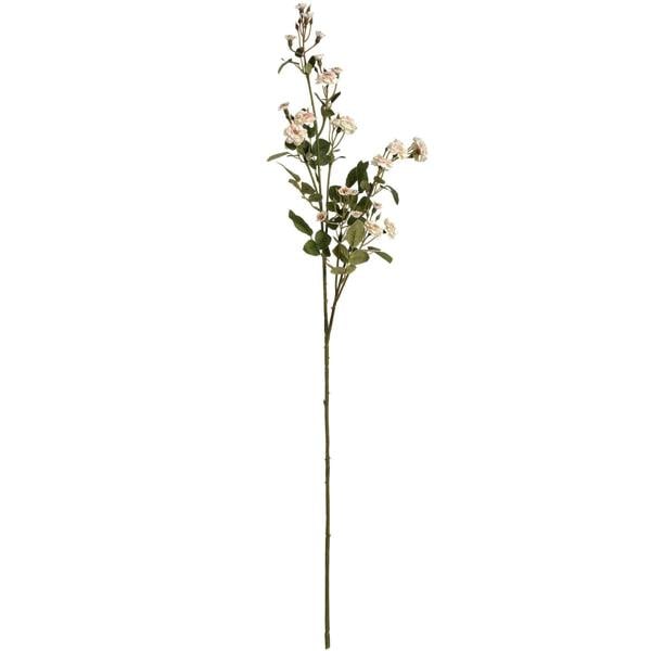 Wyld Haus Set of 3 Artificial Flowers Cream Wild Meadow Rose Stems