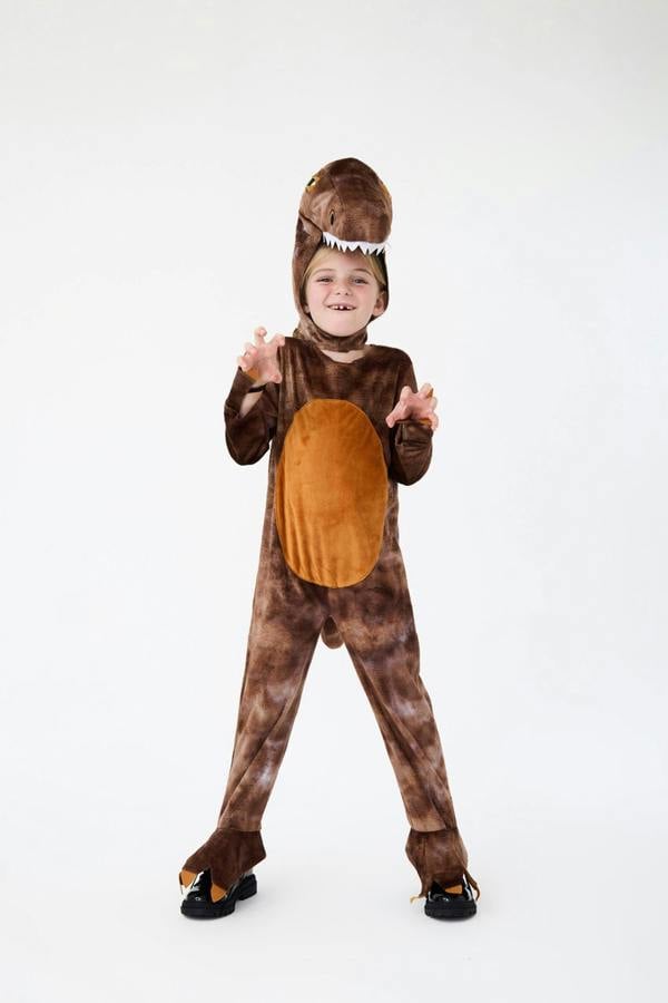 Vanilla Underground Blues Group Unisex Kids Brown Dinosaur 2 Piece Costume
