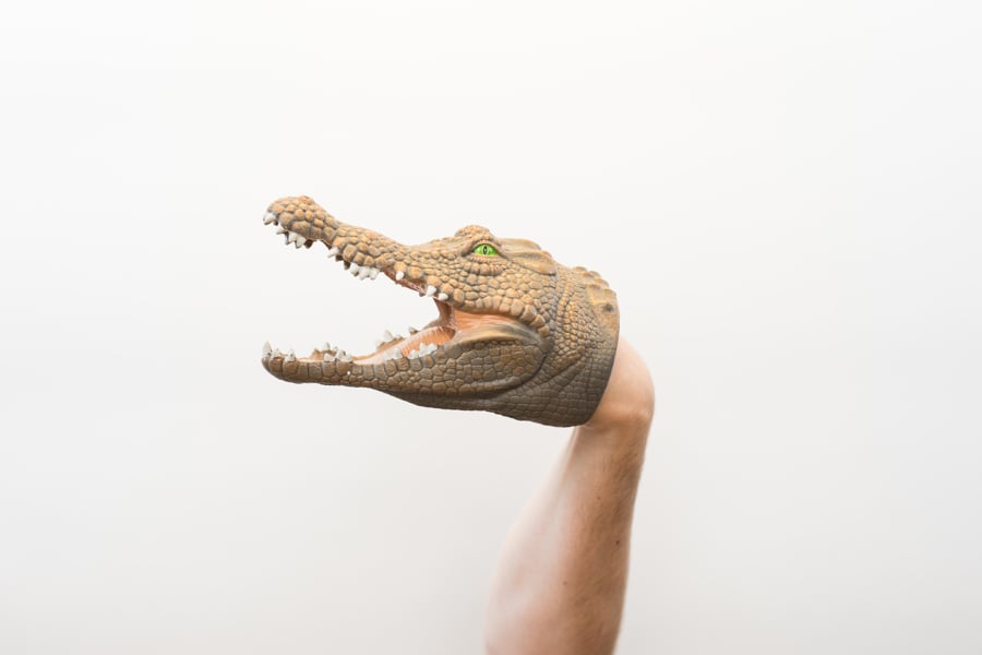 Wildthings Wild Thingz Crocodile Hand Puppet