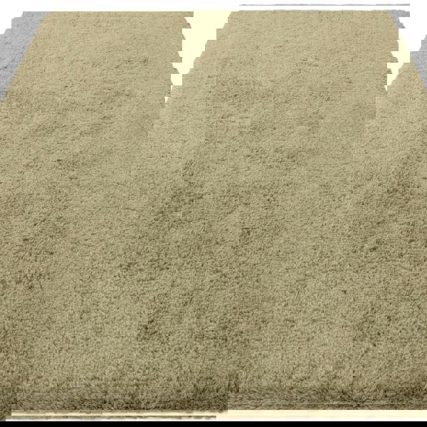 Asiatic Opulence Shaggy Sage Rug