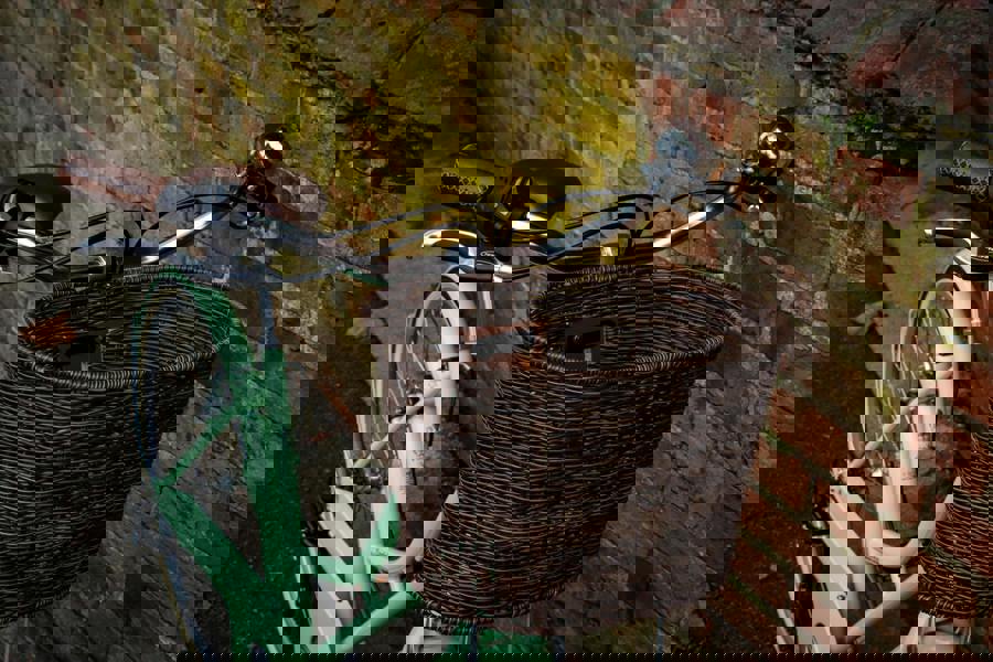 Dawes Cambridge Heritage Bike