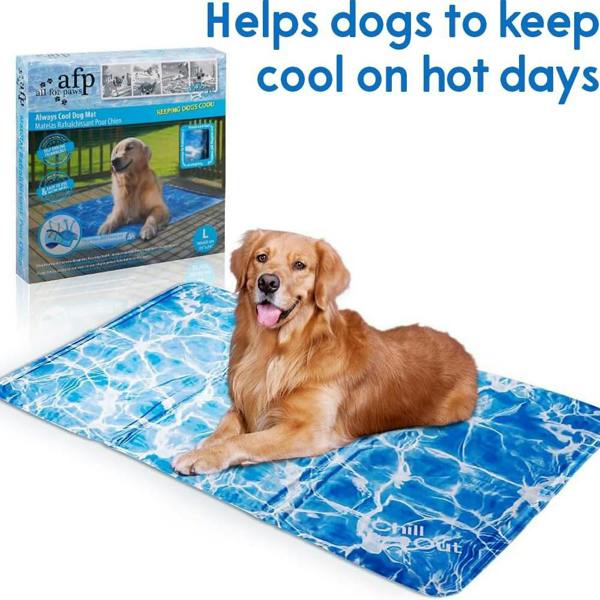 All For Paws Chill Out Always Cool Dog Mat – Medium