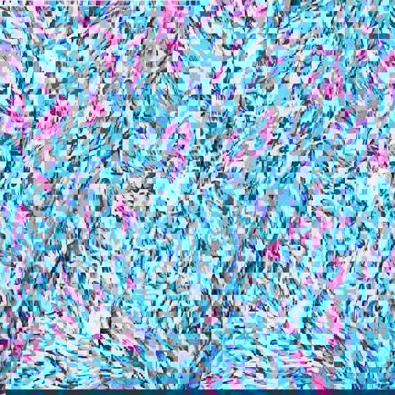 Blue | Printed Tie Waist Short Shirt Dress