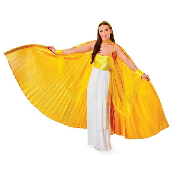 Bristol Novelty Womens Theatrical Wing Costume - Gold - 