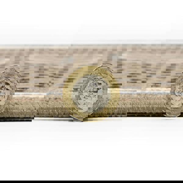 JVL Machine Washable Pet Mat 40×70 cm – Absorbent Indoor Dog & Cat Feeding Mat, Floor Protector for Bowls & Food Area – “Dinner Time” Design