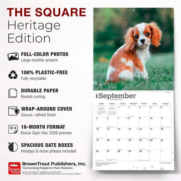 Cavalier King Charles Spaniel Puppies Calendar 2027, Wall Calendars, Month To View, Dogs, Gift