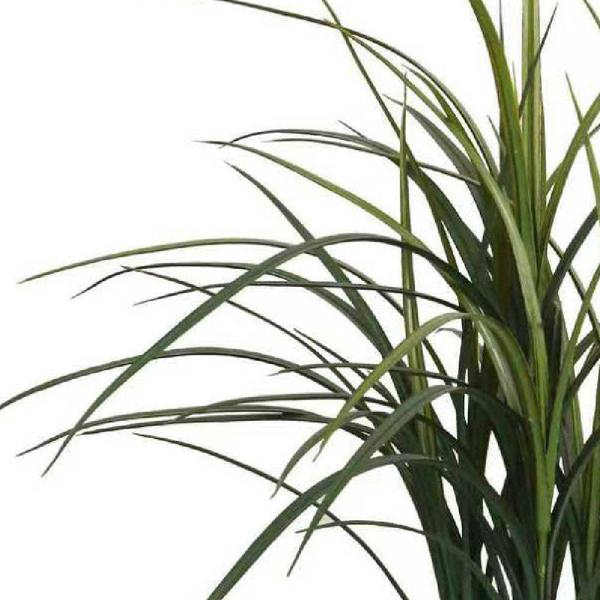 True Products Artificial Ornamental Grass Plant UV Resistant Outdoor - 80cm & 100cm