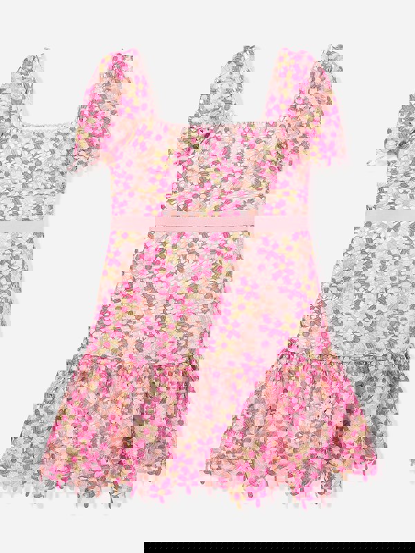 Marlo Girls Pixie Embroidered Dress in Multicolour