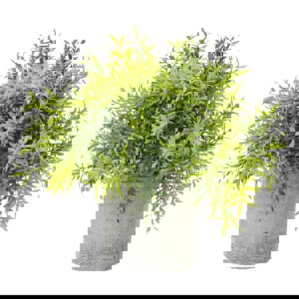 Hill Interiors Bamboo Artificial Plant - Green - 