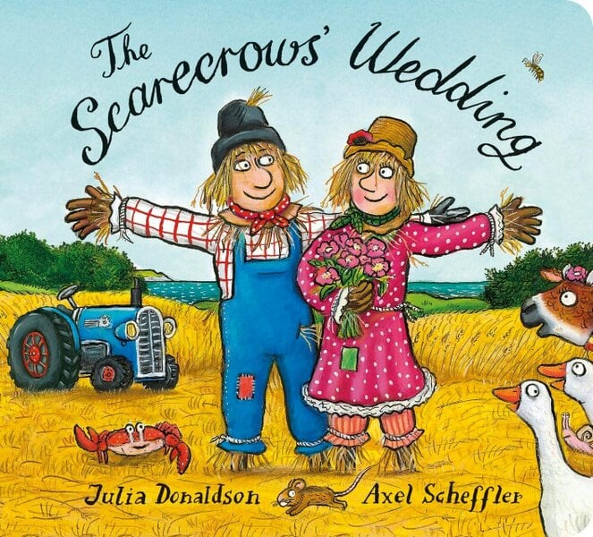 Julia Donaldson 6 Board Books Collection Set (The Highway Rat, Superworm, Zog, Tiddler, The Smeds and The Smoos, The Scarecrows Wedding)