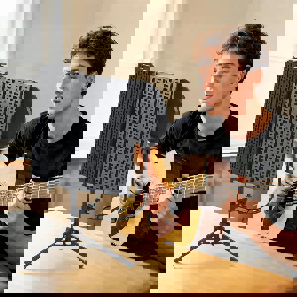 Microphone Isolation Shield