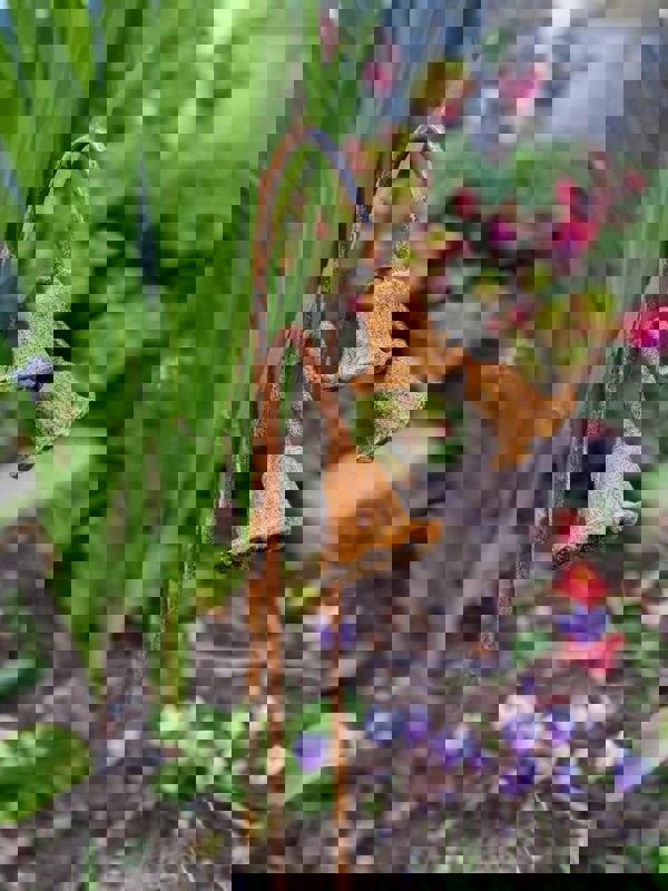 Savage Works Metal Bluebells Garden Sculptures - Rusty Metal Garden Flowers