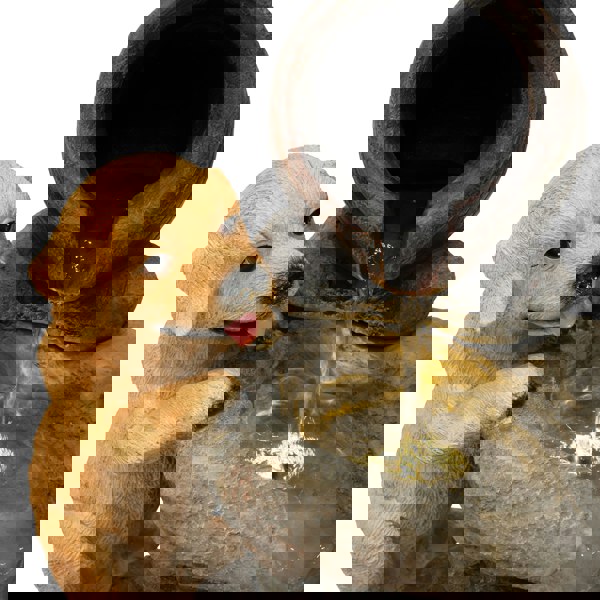 Realistic golden retriever puppy statue beside a rustic water feature, with water flowing from a clay pot into a stone basin