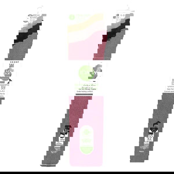 t4option1_1
