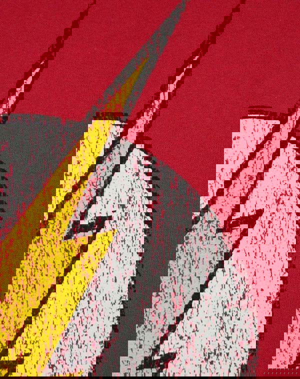 DC Comics Womens Red Distressed Logo Hoodie