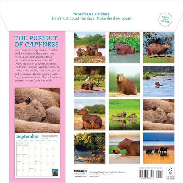 Capybara Calendar 2027, Wall Calendars, Month To View, Animals, Gift