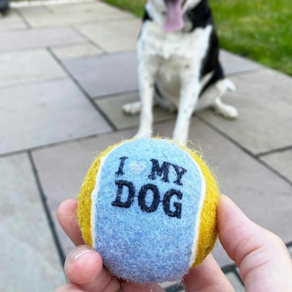 Abode Home & Gifts Set Of Two Personalised Name Dog Balls