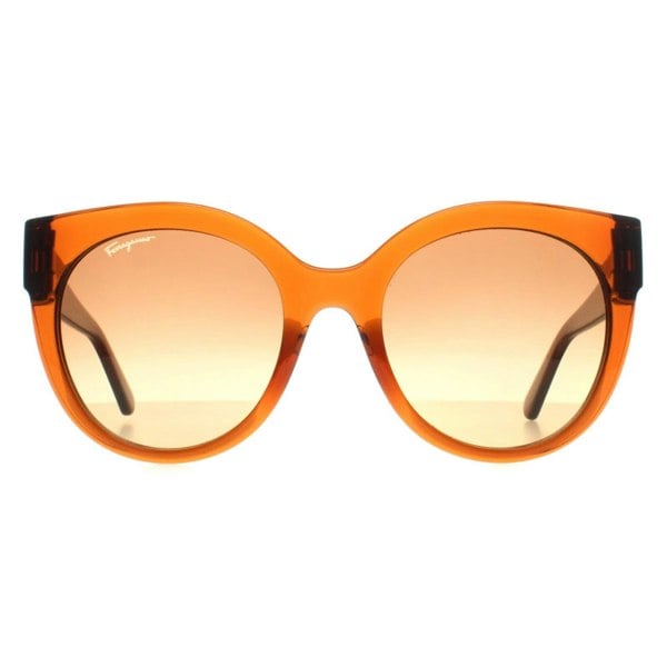 Salvatore Ferragamo Sunglasses SF1031S 261 Crystal Caramel Brown Gradient