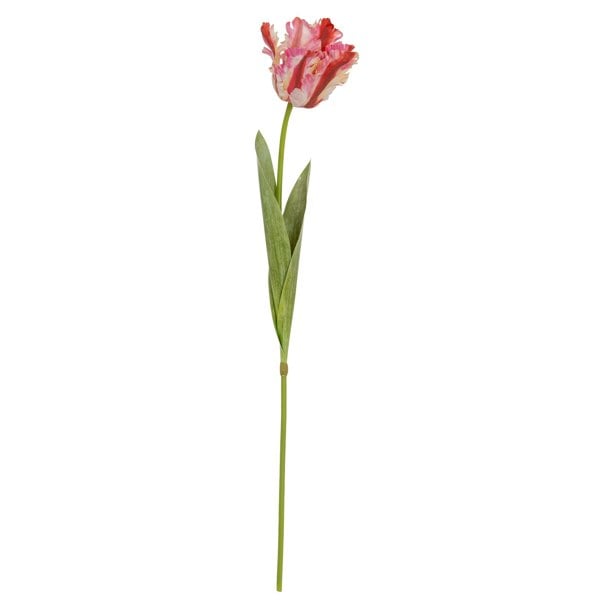 Hill Interiors Parrot Tulip Artificial Flower - Green/Pink