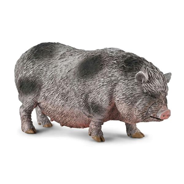 CollectA Pot-bellied Pig Model-Toy Farm Animal Figure, Collectable Animals