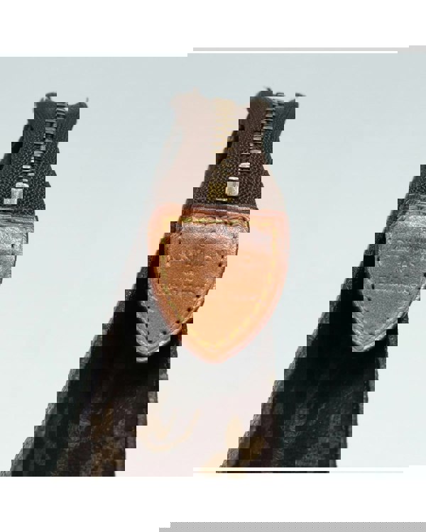 193990925.jpg