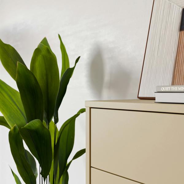 Furniture To Go Alice Springs Shoe Cabinet with 3 Doors Push-to-Open in Butter Yellow