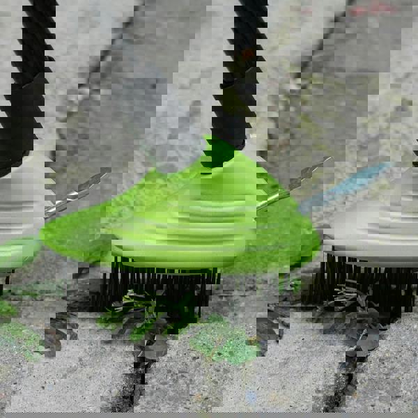 Gr8 Garden 3in1 Extendable Weed Brush Garden Patio Cleaner Moss Leaf Removal Scraping Tool