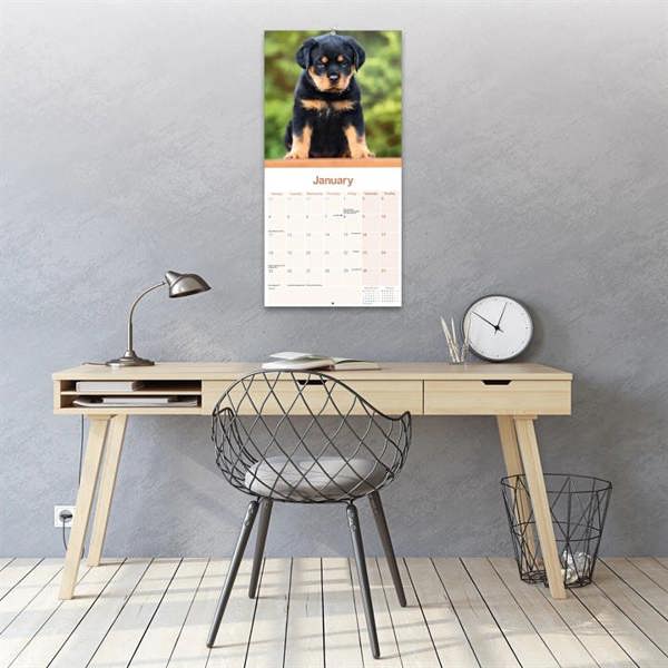Rottweiler Calendar 2027, Wall Calendars, Month To View, Dogs, Gift