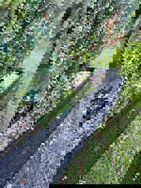 FlexiBorder Outside Corner Box of 2 Black