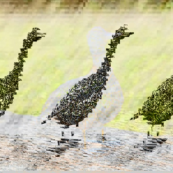 Paper High Kriti the Small Flapping Duck Wire Garden Ornament