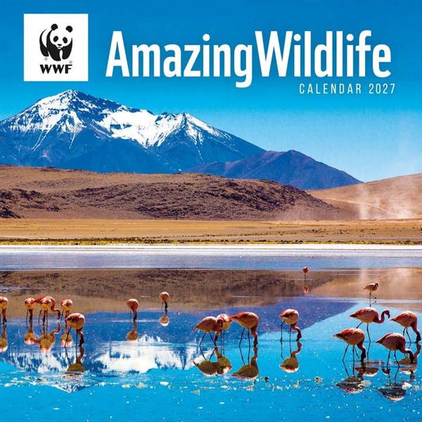 WWF, Amazing Wildlife Calendar 2027, Wall Calendars, Month To View, Animals, Gift