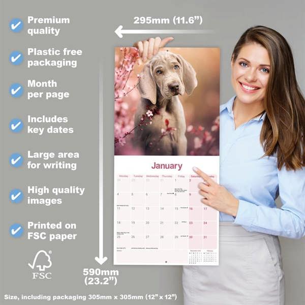 Weimaraner Calendar 2027, Wall Calendars, Month To View, Dogs, Gift