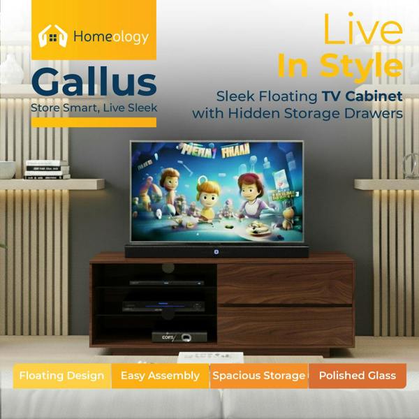 Homeology Gallus Premium Walnut with 2-Walnut Drawers and 3-Shelves 32"-55" LED/OLED/LCD TV Cabinet