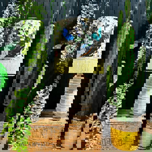 Distressed White Wash Wooden Table Lamp